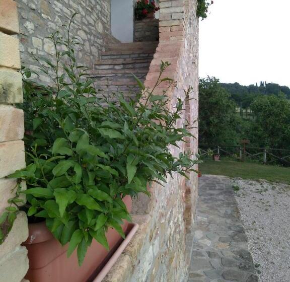 Апартаменты 1 Спальня с Террасой, Fattoria Di Rigone