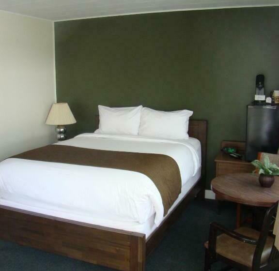 标准间, Paddock Inn