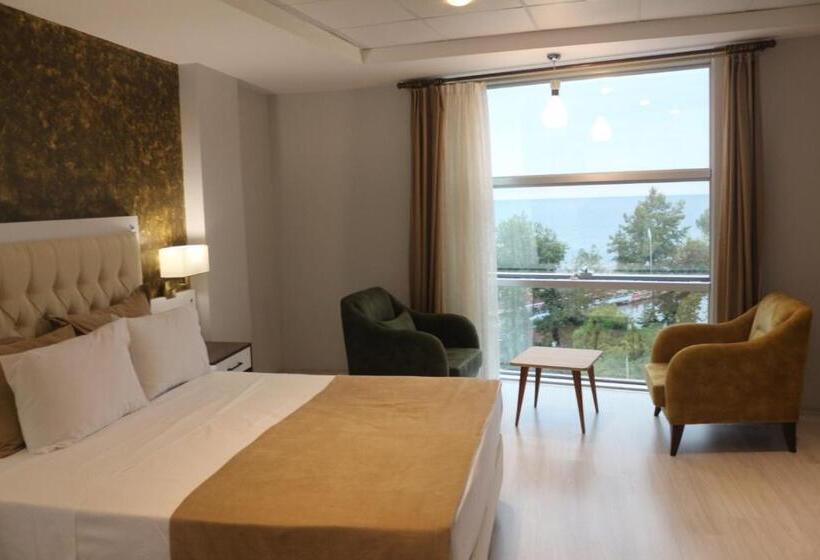 Номер Стандарт, Alarga Premier Otel