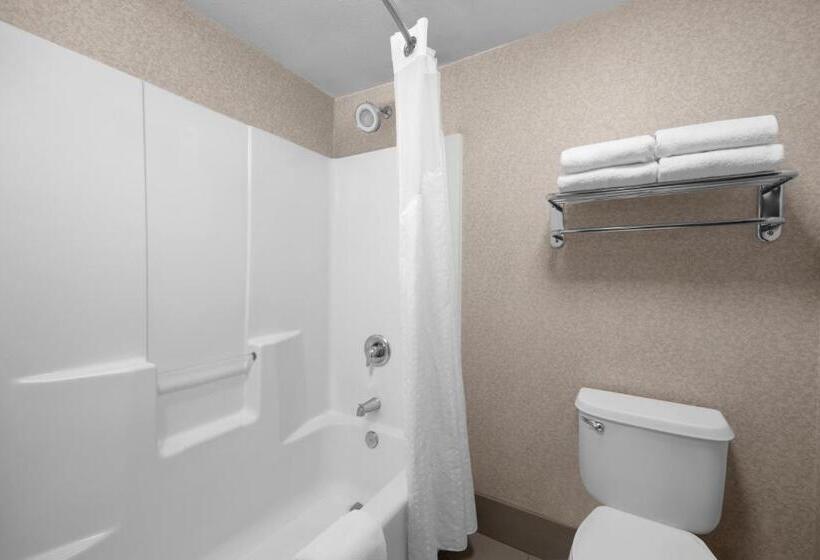 带大床的套房, Holiday Inn Express Hotel & Suites Scottsdale   Old Town, An Ihg
