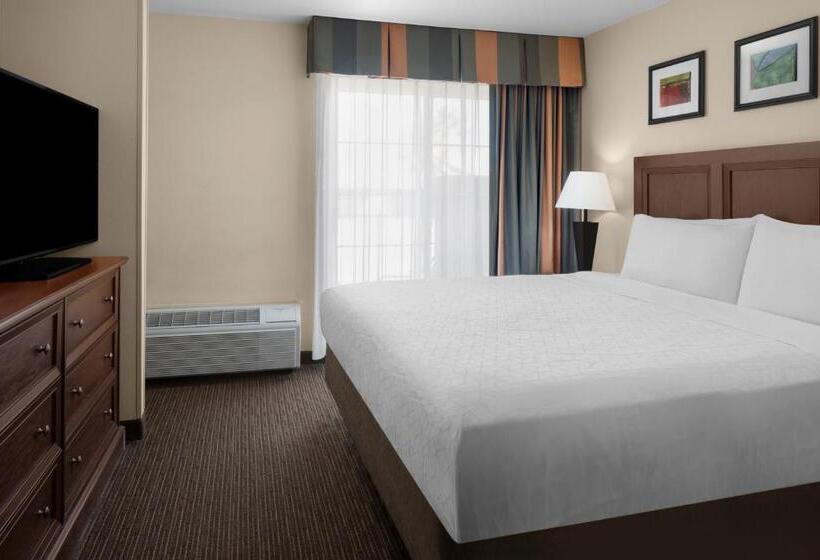 适合残疾人士使用的套间, Holiday Inn Express Hotel & Suites Scottsdale   Old Town, An Ihg