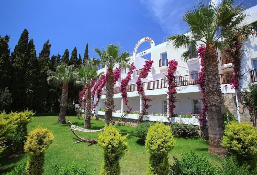 Номер Стандарт, Natur Garden
