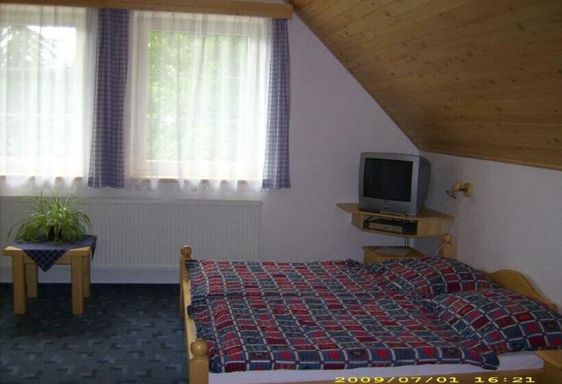 Номер Стандарт, Pension Holubec