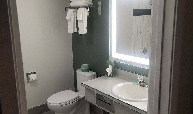 标准间, Best Western Portland West Beaverton