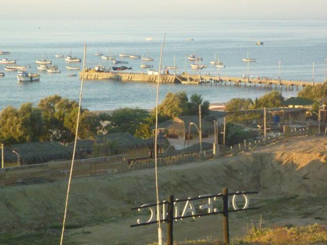 스탠다드 방갈로, Oceanic Bungalows