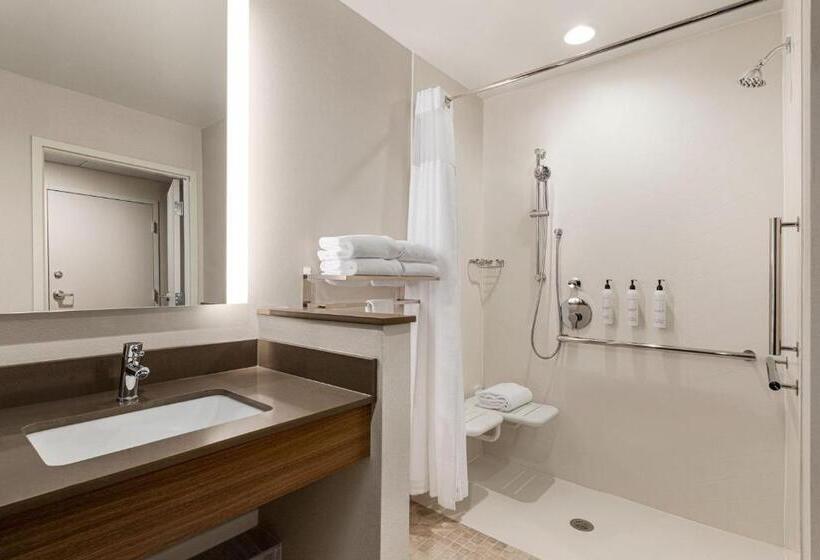 Standard-invahuone King-vuode, Fairfield By Marriott Inn & Suites Bonita Springs