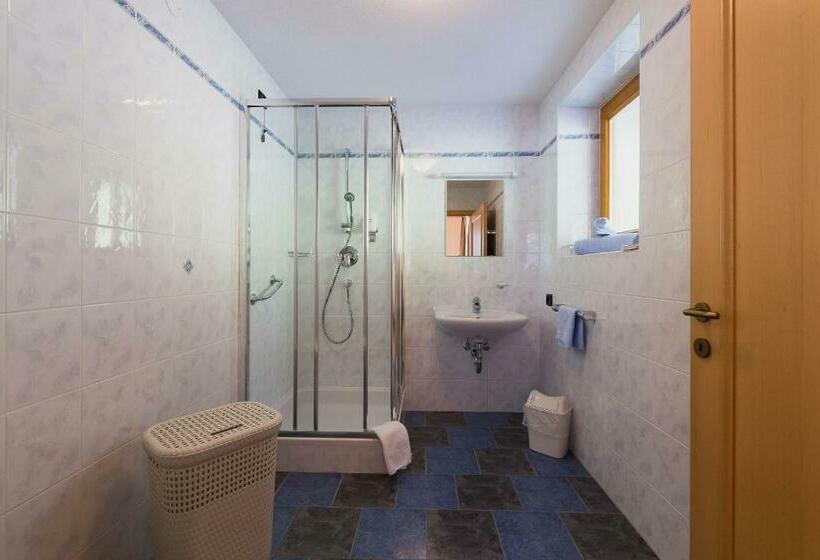 Номер Стандарт 2 Двуспальные Кровати, Gasthof Trausberg