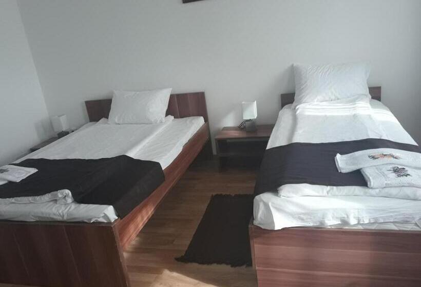 Номер Стандарт с Балконом, Pensiunea Casa Ungur