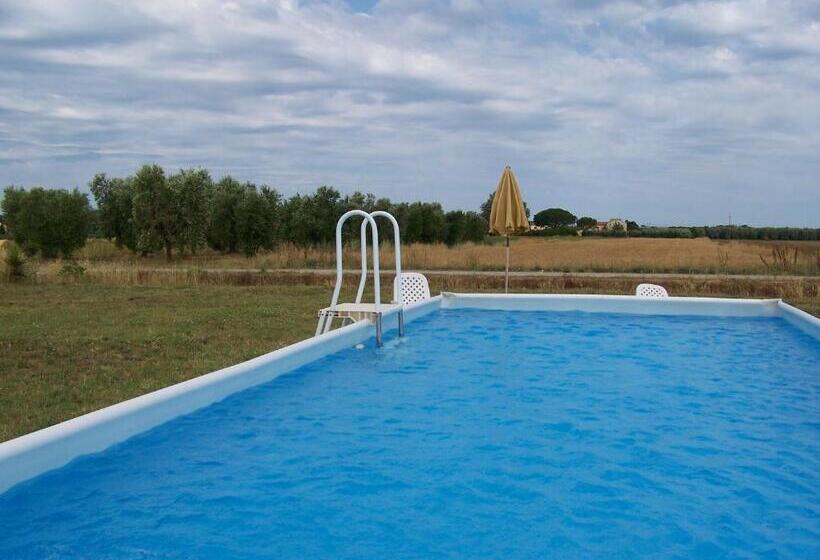 Номер Стандарт с Террасой, Agriturismo La Nocciolina