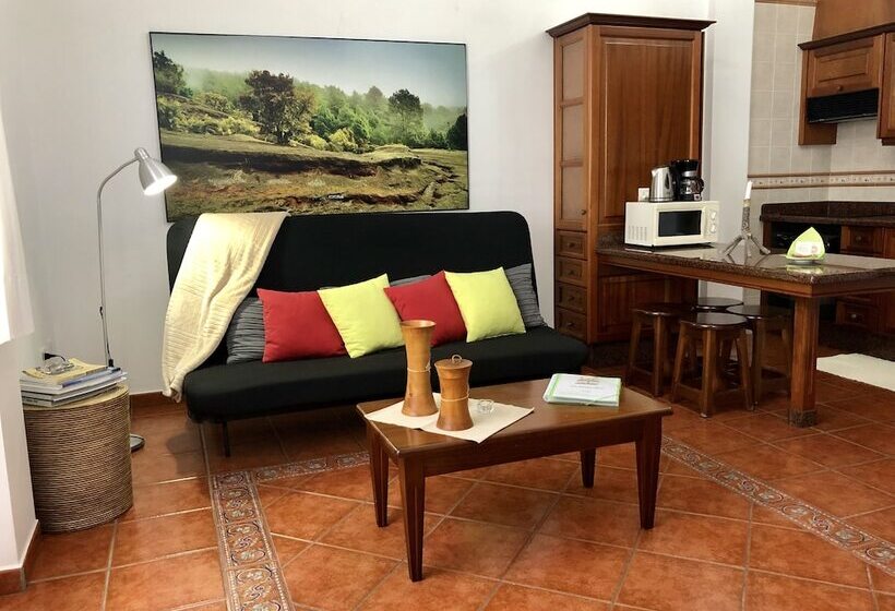 شقة غرفة واحدة مطلة على البحر, Apartamentos Los Verodes