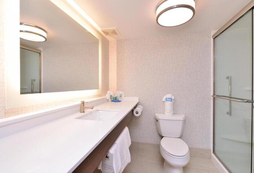 Habitació Executiva Llit King, Holiday Inn Express Hotel & Suites Indianapolis Dtn Conv Ctr, An Ihg