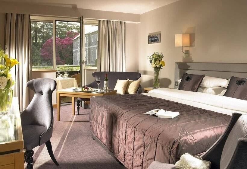 Номер Deluxe Одноместный, Maryborough Hotel & Spa