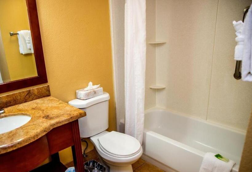 Люкс Кровать Кинг, Holiday Inn Express Hotel & Suites Cocoa Beach, An Ihg