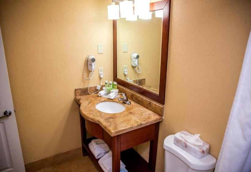 Люкс Кровать Кинг, Holiday Inn Express Hotel & Suites Cocoa Beach, An Ihg