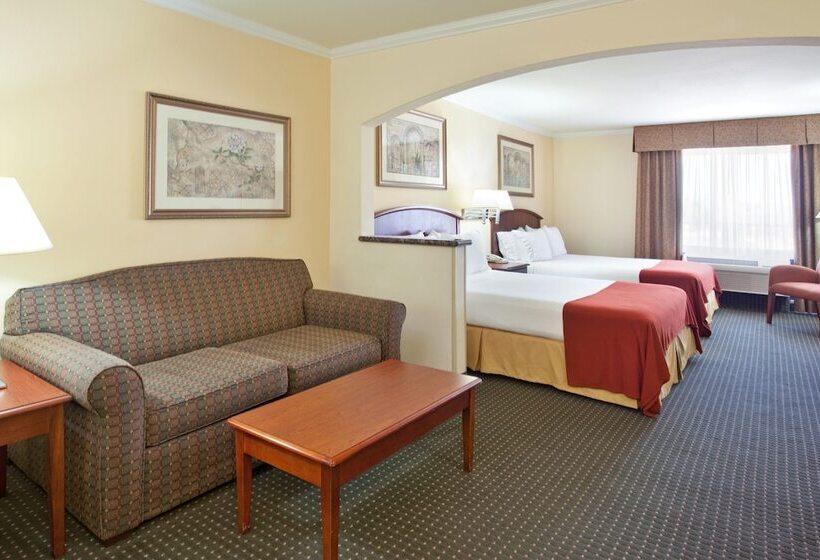 스위트, Holiday Inn Express Hotel & Suites Tucson Mall, An Ihg