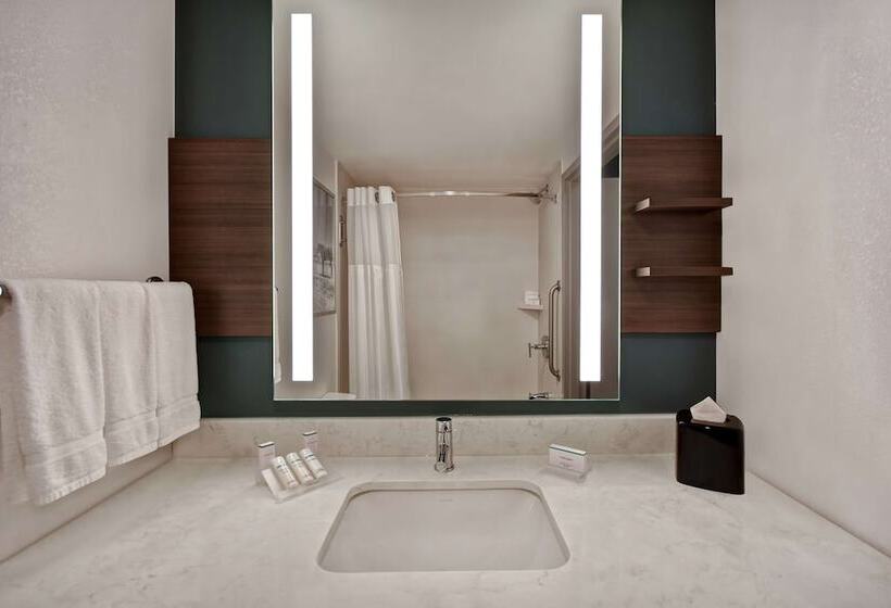 ジュニアスイート, Hilton Garden Inn Houston/galleria Area