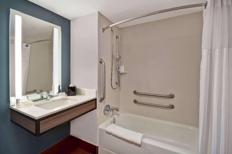 キングサイズベッドのスタンダードルーム, Hilton Garden Inn Houston/galleria Area