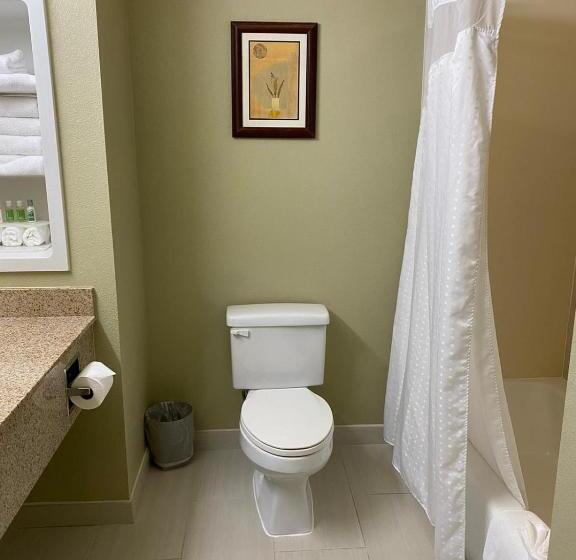 Номер Deluxe Адаптированный для Инвалидов, Marguerite South Anaheim   Garden Grove, Trademark Collection By Wyndham