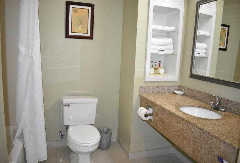 Номер Стандарт Кровать Кинг Адаптированный для Инвалидов, Marguerite South Anaheim   Garden Grove, Trademark Collection By Wyndham