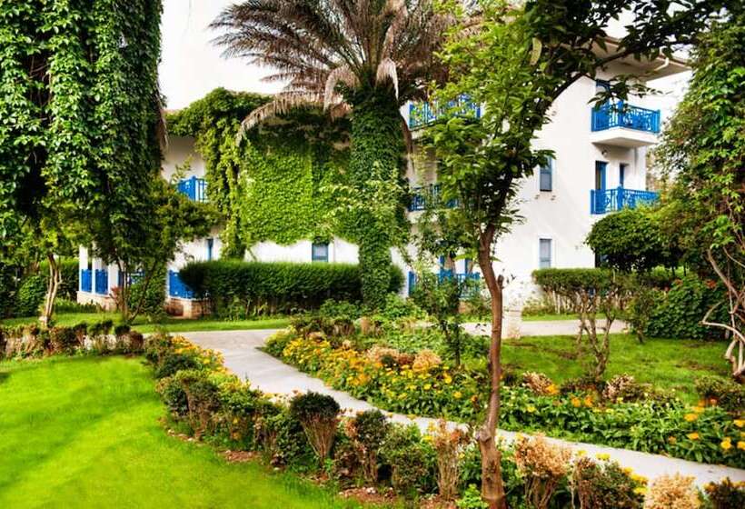 Номер Клуб, Belconti Resort