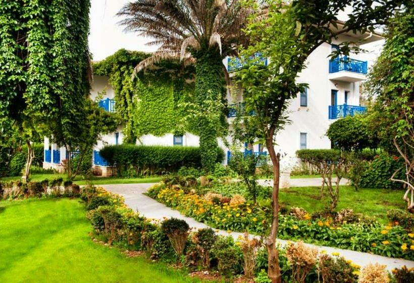Номер Клуб, Belconti Resort