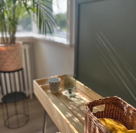 اتاق استاندارد یک نفره, Flóki By Guesthouse Reykjavík