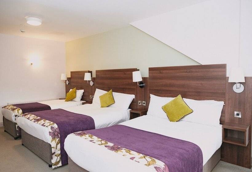 Номер Стандарт Трехместный, Maldron Hotel & Leisure Centre, Oranmore Galway