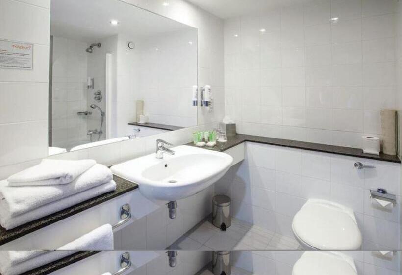 Семейный Номер Deluxe, Maldron Hotel Tallaght