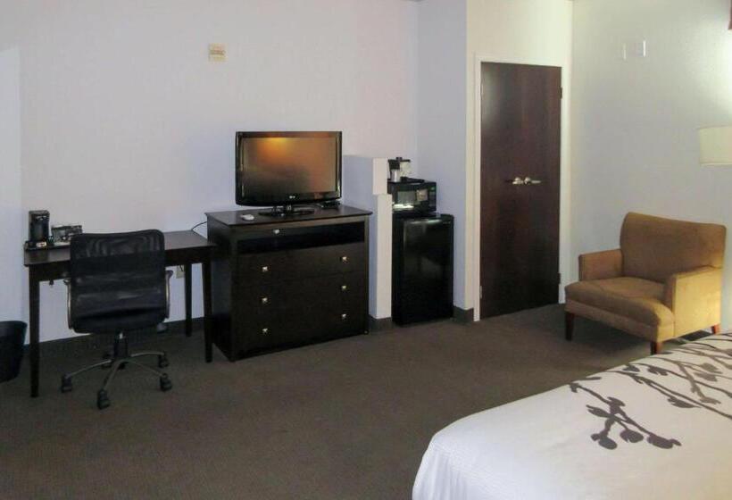 Стандартный Номер Кровать Кинг, Sleep Inn & Suites Ft. Lauderdale International Airport