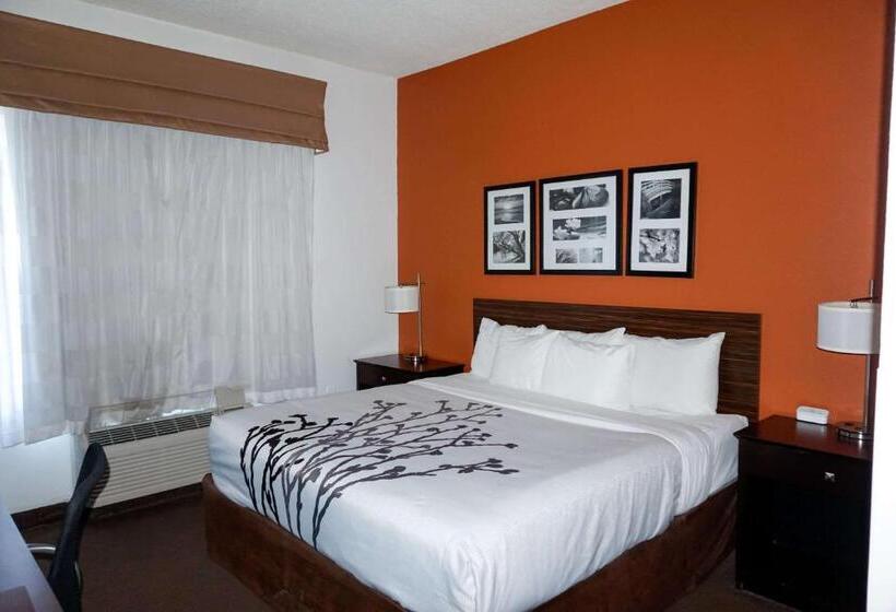 Стандартный Номер Кровать Кинг, Sleep Inn & Suites Ft. Lauderdale International Airport