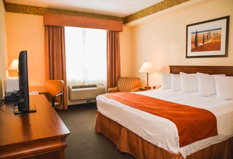 キングサイズベッドのスタンダードルーム, Country Inn & Suites By Radisson, London South, On