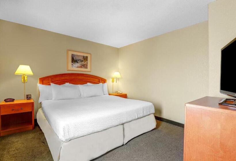 キングサイズベッドのデラックスルーム, Days Inn By Wyndham Red Deer