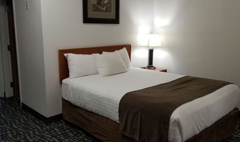 スイート, Surestay Plus Hotel By Best Western Lethbridge