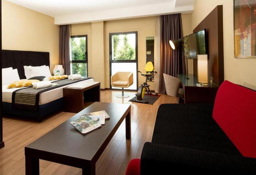 اتاق لوکس, Holiday Inn Turin Corso Francia, An Ihg