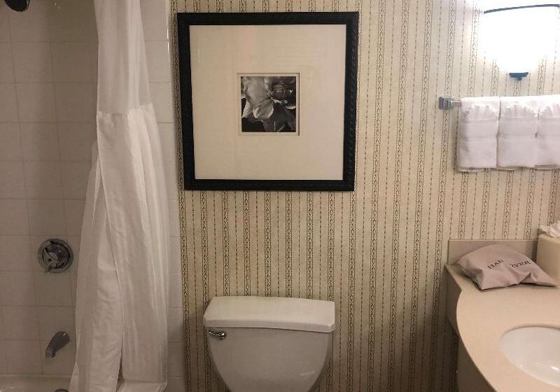 サイドシービュー１ベッドルームアパートメント, Apartamentos San Antonio Beach