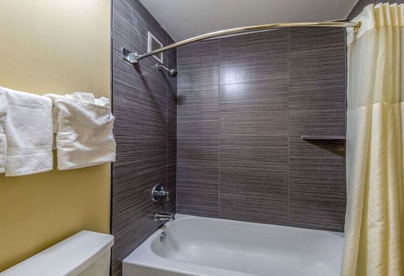 חדר סטנדרט שתי מיטות זוגיות, Quality Inn Gainesville
