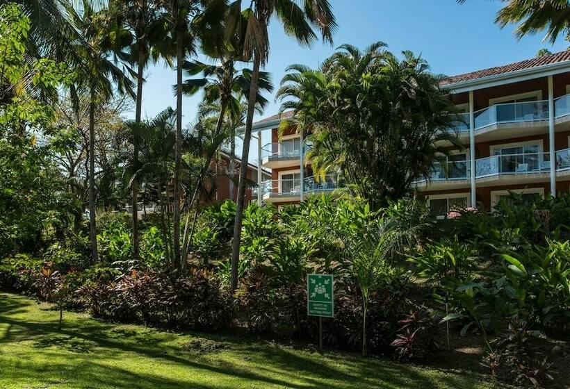 수피리어 룸, Occidental Tamarindo All Inclusive