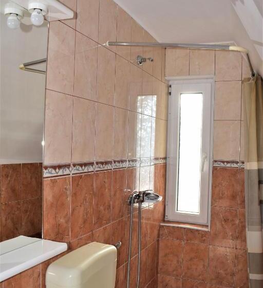 Апартаменты 1 Спальня, Vila Brad