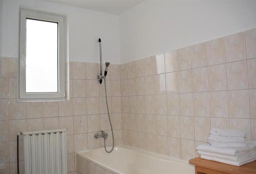 Номер Стандарт Трехместный, Vila Brad