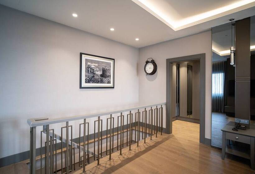 اتاق لوکس, Arts Hotel Taksim