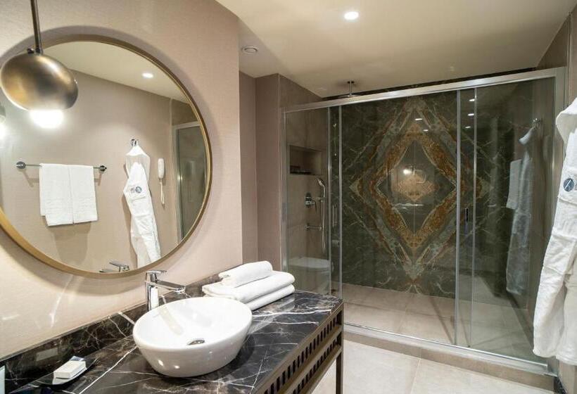 سوئیت با تخت بزرگ, Arts Hotel Taksim