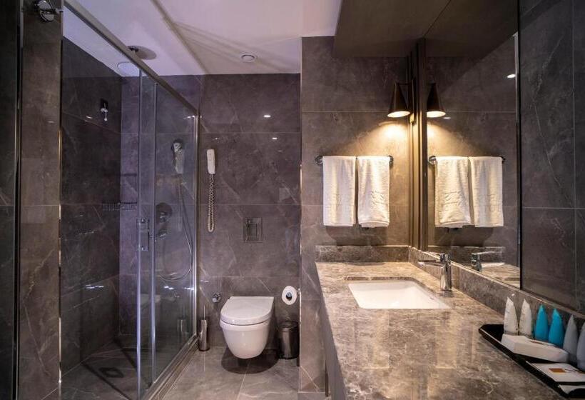 اتاق استاندارد, Arts Hotel Taksim