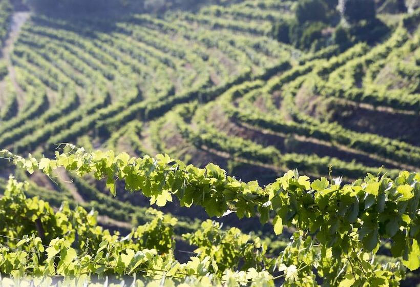 Номер Deluxe, Six Senses Douro Valley