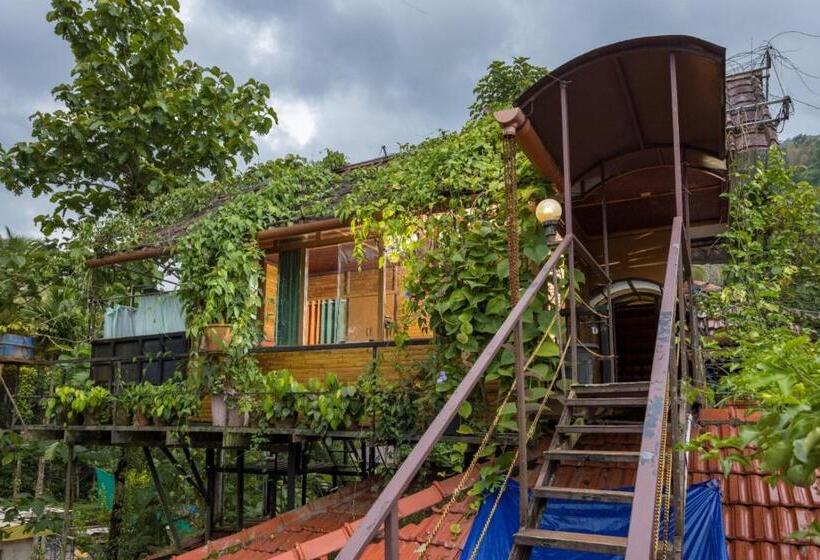 Номер Стандарт, Munkudil Ayurveda & Yoga Retreat