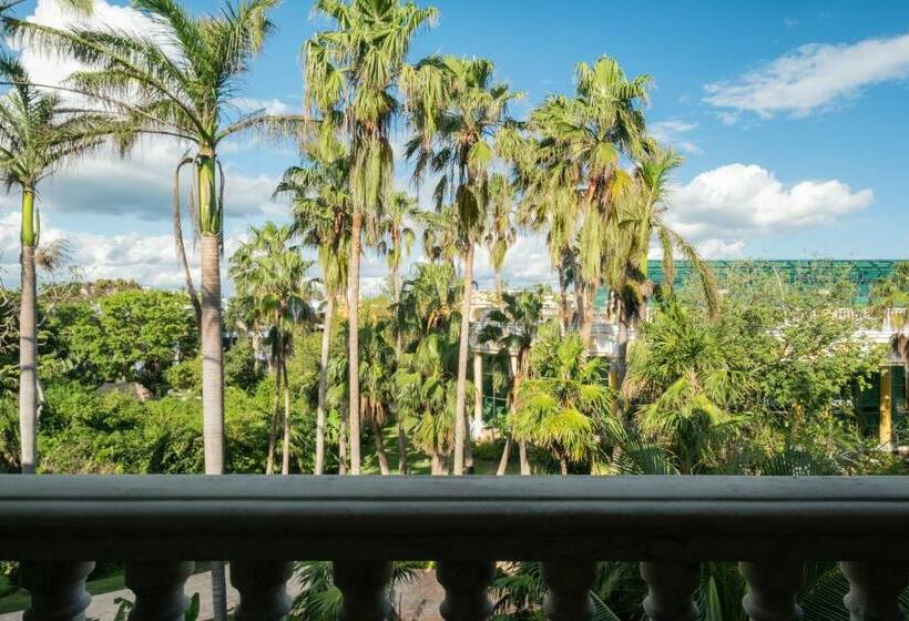 スーペリアースイート, JOIA Paraíso by Iberostar - Adults Only
