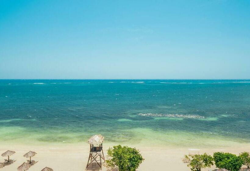 سوییت جونیور با چشم‌انداز دریا, Iberostar Selection Rose Hall Suites