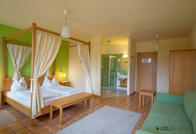 Номер Стандарт с Балконом, Ad Vineas Gästehaus Nikolaihof Hotel Garni