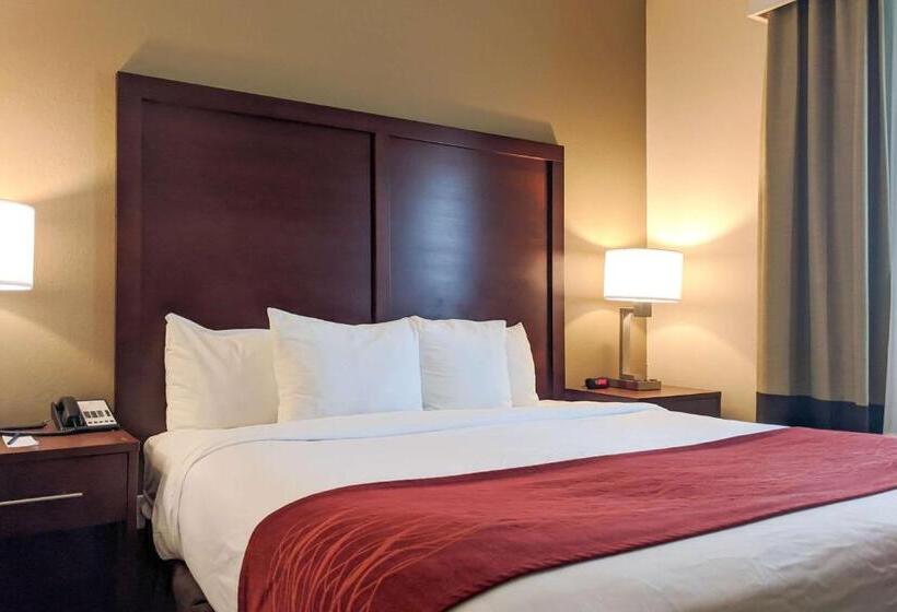 Люкс Кровать Кинг, Comfort Inn Marrero  New Orleans West
