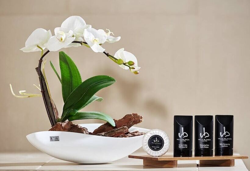 小型套房带海景, Villa Blanca Urban