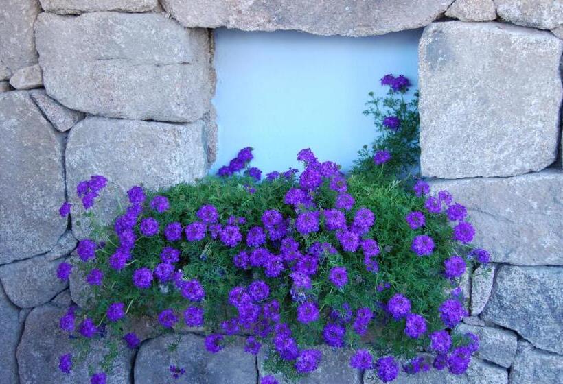 اتاق استاندارد چهار تخته, Resort Nuraghe Arvu